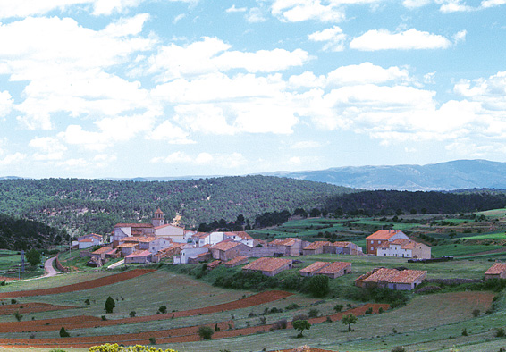 Vista general de Rubiales