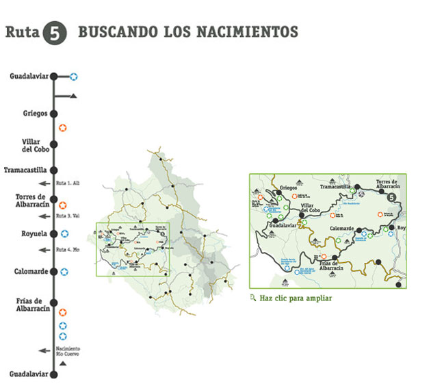 Buscado los Nacimientos